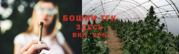 мескалин Елабуга