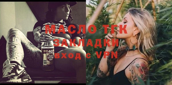скорость Ельня