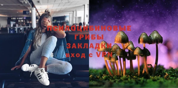 скорость Ельня