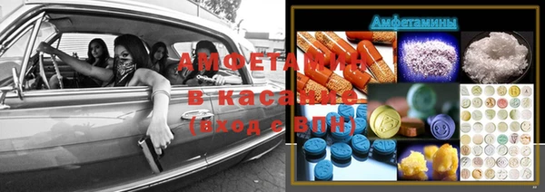 прущие грибы Заводоуковск
