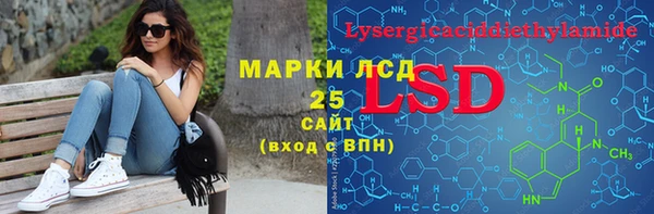 скорость Ельня